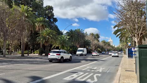 Car-traffic-on-Paseo-del-Parque-street-on-a-sunny-day-in-Malaga,-Spain