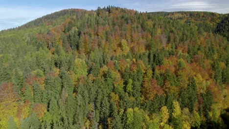 Aerial-trucking-shot-of-the-rural-landscape-with-autumn-mountain-forest