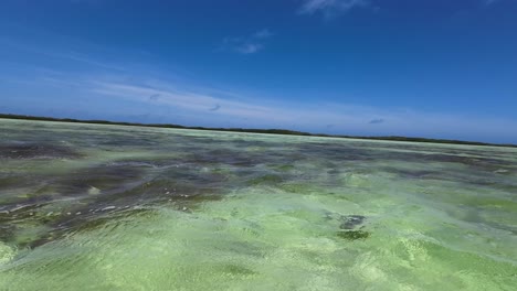 POV-sailing-on-clear-caribbean-sea-green-wetland,-los-Roques-Venezuela