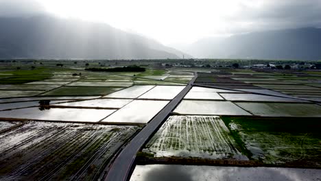 Sunrise-over-tranquil-waterlogged-rice-fields-with-mountain-backdrop,-reflecting-clouds