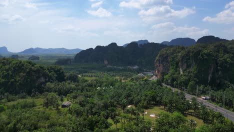 Paisaje-Tropical-Montañas-Kársticas-La-Carretera-Palmeras