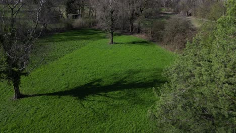 Drone-clip-moving-through-mature-trees-with-lush-green-grass-on-a-sunny-day-in-springtime