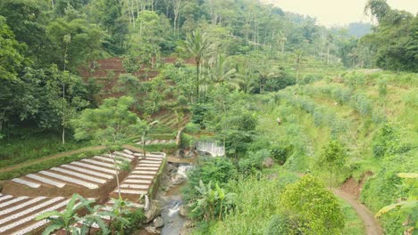 Drone-fly-over-beautiful-tropical-countryside