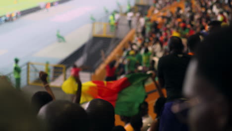 Fans-Schütteln-Die-Flagge-Kameruns-Auf-Der-Tribüne