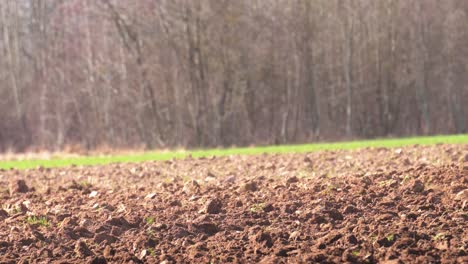 Nahaufnahme-Eines-Bauern,-Der-Im-Frühjahr-Ein-Staubiges-Landwirtschaftliches-Feld-Bewirtschaftet