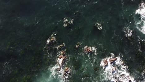 Meereswellen-Aus-Der-Luft-Einer-Drohne