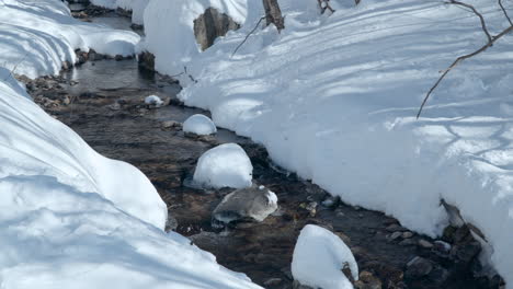 Gebirgsfluss-In-Einem-Verschneiten-Wald-Im-Winter-Mit-An-Frostigen-Tagen-Schneebedeckten-Bachufern