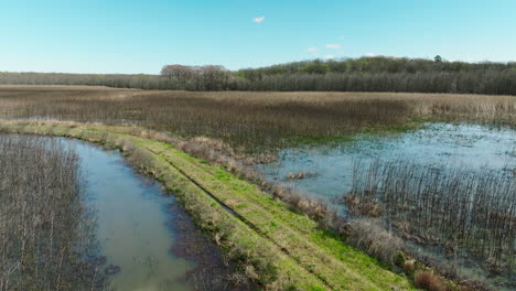 Humedales-De-Bell-Slough-Con-Agua,-árboles-Y-Un-Cielo-Despejado,-Arkansas,-Luz-Del-Día,-Vista-Aérea