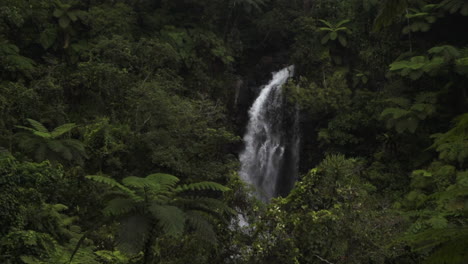 Tavarua-Wainibau-Falls-Cascadas-Selva-Montaña-Taveuni-Jardín-Isla-Costa-De-Coral-Arrecife-Descanso-Arena-Tropical-Pacífico-Palma-Cocoteros-Lluvioso-Nublado-Maravilloso-Tiro-Estático-Turismo-Fiji-Cámara-Lenta