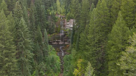 Wasserfall-Inmitten-Eines-Grünen-Kiefernwaldes
