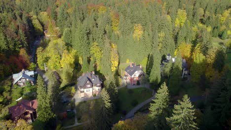 Aerial-trucking-shot-of-the-Swiss-style-homes-in-the-beautiful-valley-hidden-in-the-mountain-forest-in-autumn