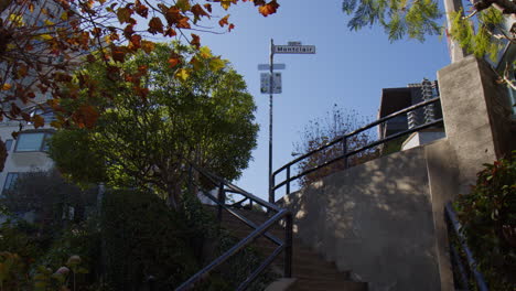 Montclair-Village---A-Hillside-Neighborhood-in-Oakland,-California---Low-Angle-Shot