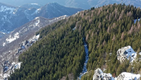 Snow-capped-mountains-with-evergreen-forests,-no-people,-daylight,-aerial-view