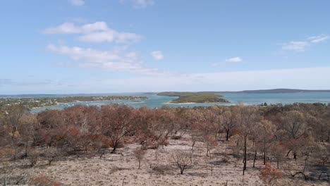 Rising-reveal-of-tourist-town-Coffin-Bay-over-burned-bushfire-vegetation-and-dead-trees,-Eyre-Peninsula,-South-Australia
