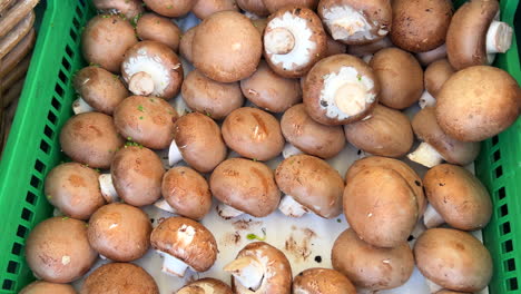 Fresh-organic-brown-cremini-mushrooms-for-sale-at-a-local-farmers-market-in-Marbella-Spain,-healthy-bio-vegetables,-4K-shot