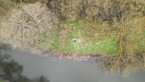 Drone-Desciende-Sobre-Una-Tienda-De-Campaña-Cerca-Del-Pantano