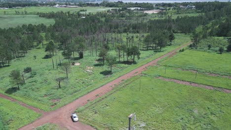 A-car-on-a-red-dirt-road-through-a-lapacho-tree-plantation-in-misiones,-posadas,-aerial-view