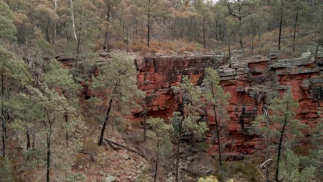 Beautiful-rising-aerial-of-Alligator-Gorge-with-red-cliff-and-dry-bush-scrub,-Mount-Remarkable-National-Park,-South-Australia