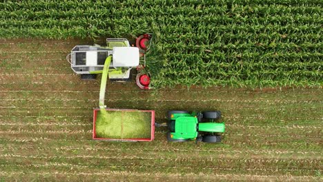 Slomo-overhead-drone-tracking-of-maize-silage-being-unloaded-to-tractor-trailer