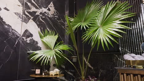 Footstool-Palm-Plant-Inside-Elegant-Bathroom