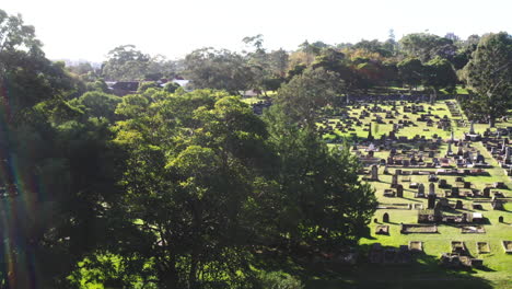 Aerial-drone-flying-around-large-trees-in-graveyard-cemetery-on-a-sunny-day-in-Australia