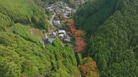 Luftdrohne-über-Dem-Dorf-In-Der-Japanischen-Bergtalstraße-Zwischen-Zedernwald