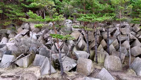 A-large-pile-of-manmade-triangle-rocks-and-trees