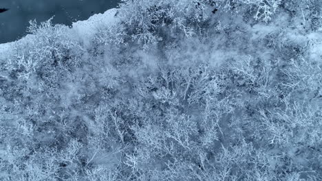 Beautiful-overhead-drone-shot-of-a-snowy-white-forest-with-a-frozen-river