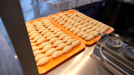 Dos-Grandes-Bandejas-De-Pierogi-En-La-Encimera-De-La-Cocina.