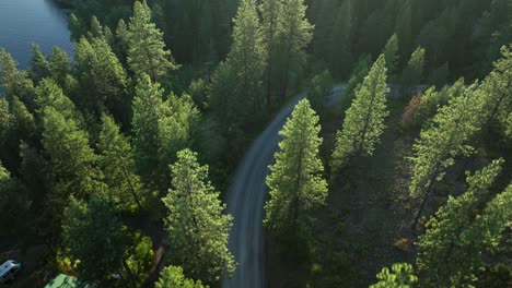Overhead-drone-shot-of-a-country-backroad-winding-through-the-forest