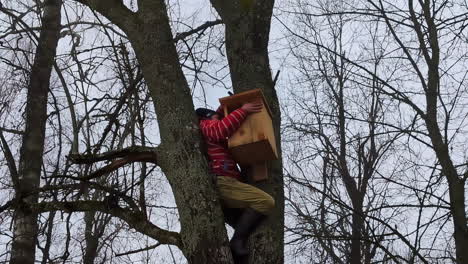 Man-on-a-tree-placing-a-wooden-box-for-bird-nests