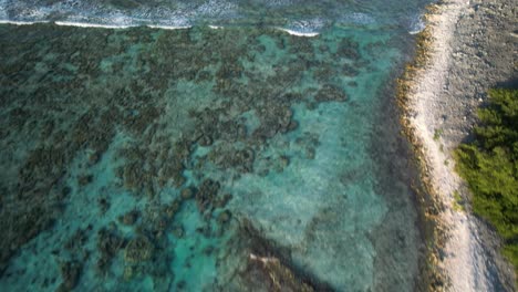 Una-Barrera-De-Coral-Caribeña-Con-Aguas-Cristalinas-Y-Camino-Arenoso,-Reflejo-De-La-Luz-Del-Sol,-Vista-Aérea