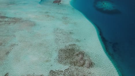 Aerial-view-tilt-up-reveal-vibrant-shallow-coral-reef-in-Los-Roques-Venezuela