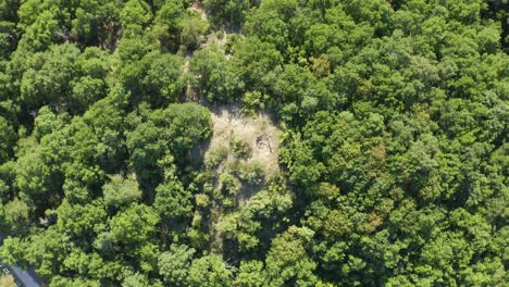 Overhead-View-Of-Trees-At-Thracian-Tomb-In-Summer-In-Mezek,-Bulgaria