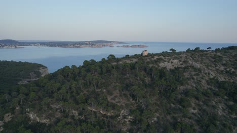 Aerial-Circling-Shot-of-Mountain-Forest-Beside-Sea,-Mallorca,-Spain