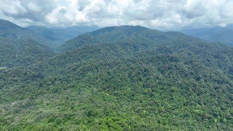 Exploring-jungles-of-Sumatra,-unparalleled-natural-beauty-and-biodiversity