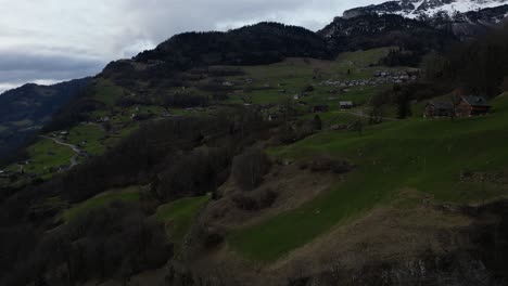 Drohnenaufnahme-Eines-Isolierten-Dorfes-Auf-Grünen-Feldern-Mit-Schneebedeckten-Bergen-Im-Hintergrund