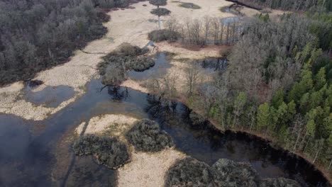 Rich-life-and-biodiversity-in-a-pond-in-a-nature-reservation