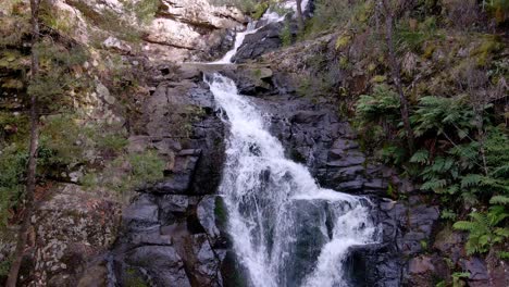 Reverse-dolly-of-cascading-Forth-Falls-waterfall-in-Wilmot,-Tasmania,-Australia