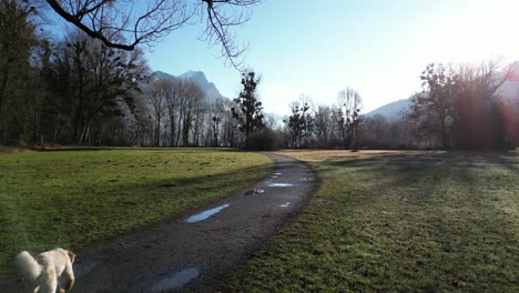 Shot-of-a-narrow-pathway-with-Alps-at-background