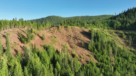 Aerial-shot-of-hills-clear-of-trees-in-the-USA-from-the-lumber-industry