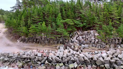 scenic-forest-with-a-large-pile-of-moss-covered-rocks-in-the-foreground