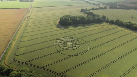 Crop-Circle-In-Green-Field,-Owslebury,-England---Aerial-Drone-Shot