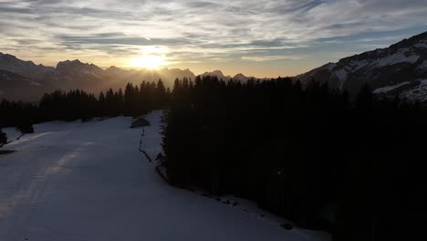 Sunset-radiance-over-snowy-Amden-pines,-Switzerland---aerial