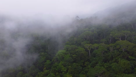 Aerial-drone-shot-passing-through-mist-and-low-hanging-clouds-above-the-treetops-of-a-dense-tropical-rainforest-in-Minca,-Columbia