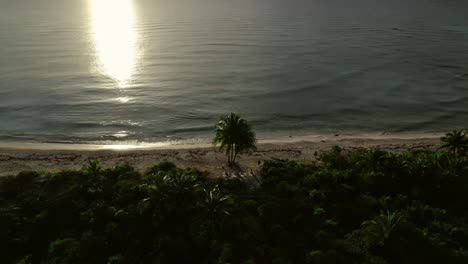 Filmische-Luftaufnahmen-Von-Einem-Abgeschiedenen-Strand,-Riviera-Maya,-Mexiko