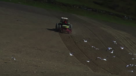 Big-tractor-with-sowing-machine-cultivates-the-field-with-birds-following