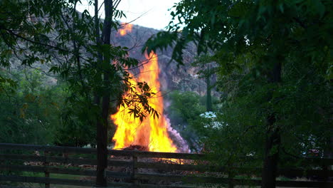 Montón-De-Maleza-Para-Mitigar-Incendios-Forestales