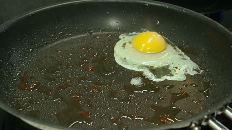 Sunny-side-up-raw-egg-is-cracked-into-hot-non-stick-skillet-on-stove