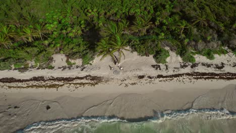 Unveiling-aerial-perspective-of-Xpuha-Beach-in-Riviera-Maya,-Mexico,-showcasing-waves-gently-splashing-along-the-shoreline